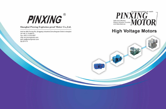 Shanghai Pinxing Explosion-Proof Motor Co.、Ltd。